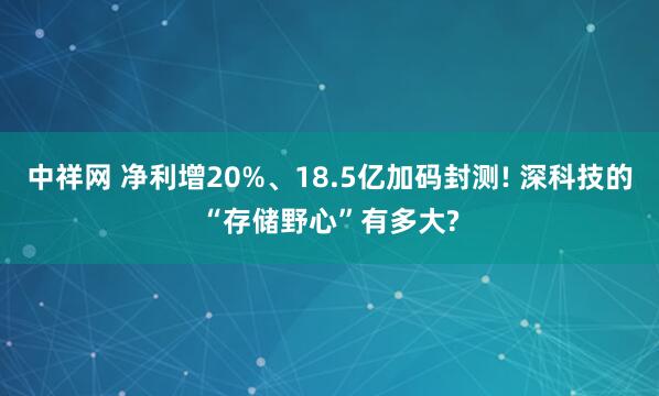 中祥网 净利增20%、18.5亿加码封测! 深科技的“存储野心”有多大?