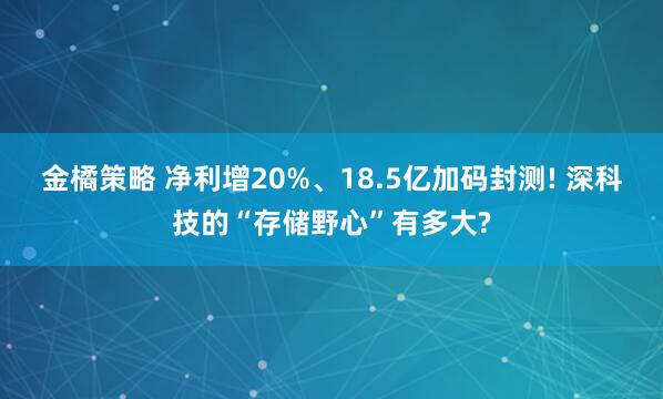金橘策略 净利增20%、18.5亿加码封测! 深科技的“存储野心”有多大?