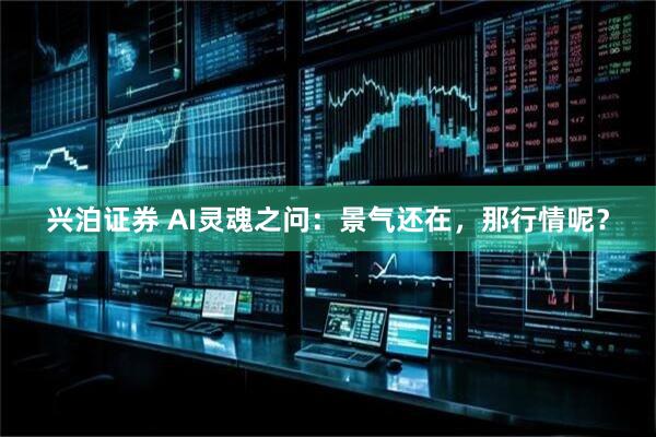 兴泊证券 AI灵魂之问：景气还在，那行情呢？