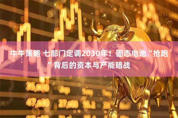 牛牛策略 七部门定调2030年！固态电池“抢跑”背后的资本与产能暗战