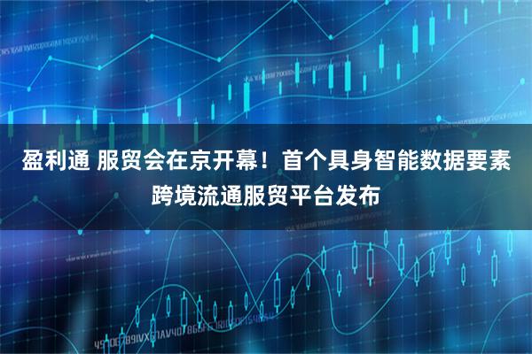 盈利通 服贸会在京开幕！首个具身智能数据要素跨境流通服贸平台发布