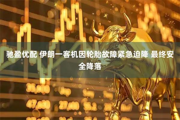 驰盈优配 伊朗一客机因轮胎故障紧急迫降 最终安全降落